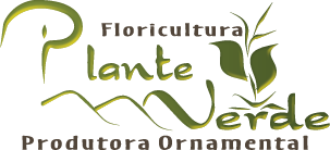 Plantas Ornamentais